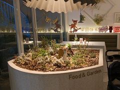 -春树下·树屋花房西餐厅(罍街AS1980店)