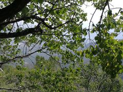 -阳台山自然风景区