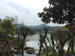 -宁波九龙湖开元度假村
