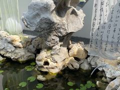 -丫丫蟹庄·苏式园林农家乐·阳澄湖大闸蟹(阳澄湖莲花岛店)