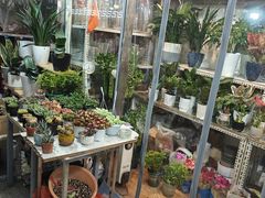 -宝鸡东道花鸟鱼虫市场(吉利花园商场店)