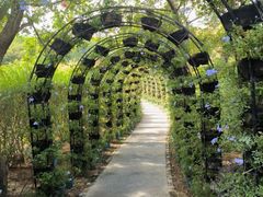 -福建鲤鱼洲酒店