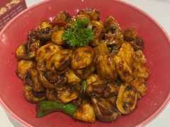 -梁溪河畔·吉府花园(南长街南下塘店)