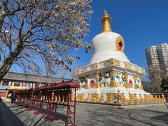 -护国法轮寺