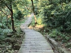 -北仑森林植物园