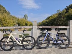 -竹乡园柴火竹筒饭·烧鸡(白水寨*森林海店)