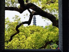 -江心屿景区