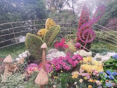-杭州植物园