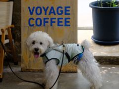 -VOYAGE COFFEE 咖啡烘焙工坊店(798艺术区店)