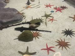 -福州罗源湾海洋世界旅游区