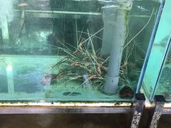 -班达海鲜餐厅