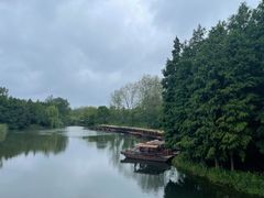 -溱湖国家湿地公园