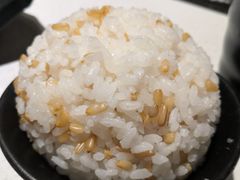 -新仙清汤牛腩(铜锣湾店)