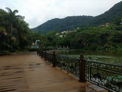 -广州凤凰城酒店-维也纳西餐厅