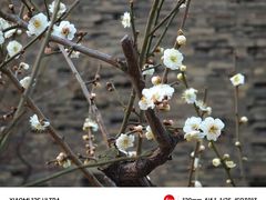 -北京明城墙遗址公园