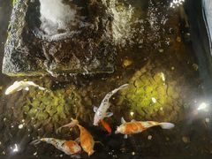 -功德林(南京西路店)