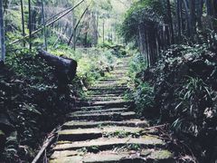 -会稽山峡洞漂流-上青古道