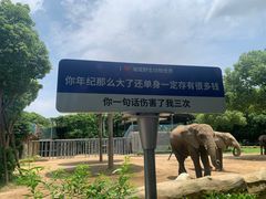 -常州淹城野生动物世界