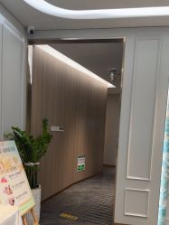 -伊丽汇