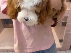 -FAELING PETS美天灵宠物(富力广场店)