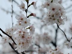 -龙美术馆西岸馆-停车场