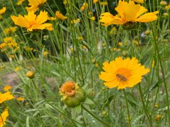 -白塘生态植物园