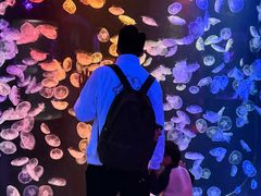 -顺德南宏海立方海洋公园