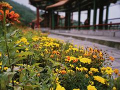 -北京十三陵国家森林公园蟒山景区