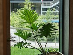 -山下C5cafe(惠通时代广场店)