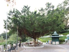 -龙环葡韵住宅式博物馆