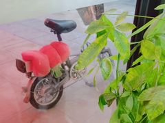 -张钰强中医正骨推拿连锁(唐家人才公寓店)
