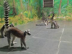 -西安秦岭野生动物园