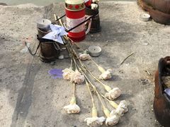 -多瑙河畔鞋履雕塑
