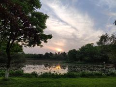 -艾溪湖湿地公园