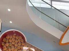 -极橙儿童齿科矫正中心(奥城店)