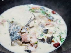 -鲜潭蒸汽石锅鱼(五道口购物中心店)