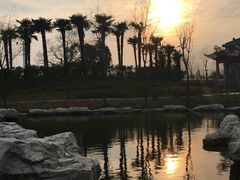 -上海崇明金茂凯悦酒店