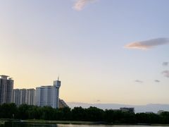-莲花池公园