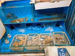 水产区-福匠日本料理(人民路店)