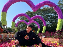-松山湖梦幻百花洲