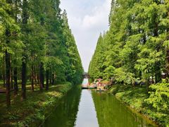 -黄海国家森林公园