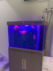 -海涛医疗美容·面部抗衰·注射美鼻