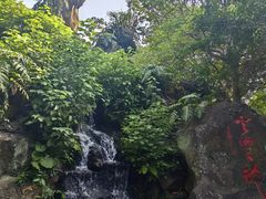 -海口火山口国家地质公园