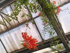 -石家庄市植物园