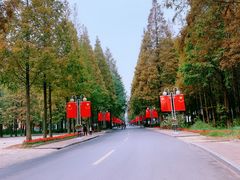 -日照海滨国家森林公园