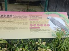 -石排湾郊野公园