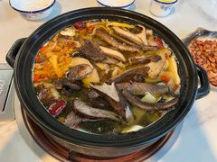 -蘑统田下·野生菌火锅
