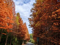 -南京市无想山景区