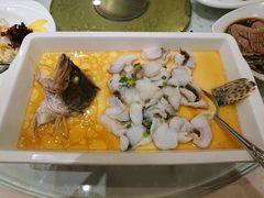 豆腐鳜鱼-顺风海鲜港(金玉兰店)