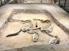 -洛阳周王城天子驾六博物馆